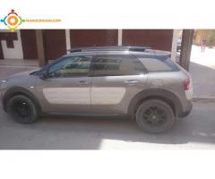 C4 cactus shine tte options mod 2016