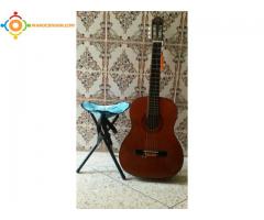 Eko Guitar electro acoustic