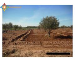 FERME PRES DE MARRAKECH