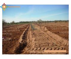 FERME PRES DE MARRAKECH