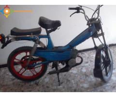 mbk sport double ambr