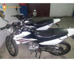 Honda- Bross