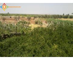 Ferme à la route de Fés-Marrakech