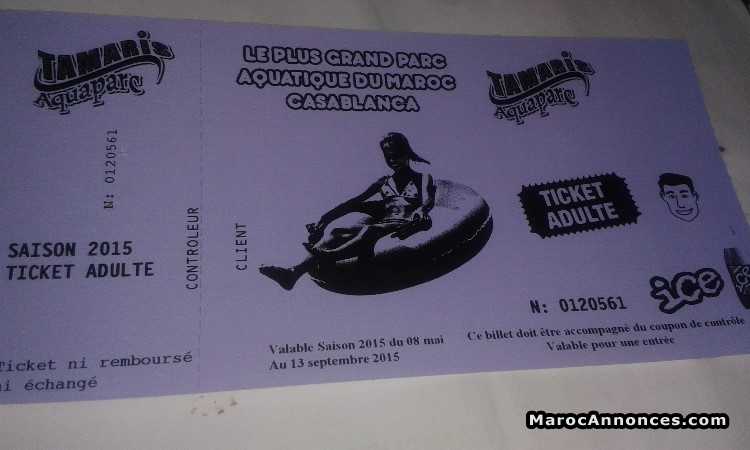 ticket aquaparc adult