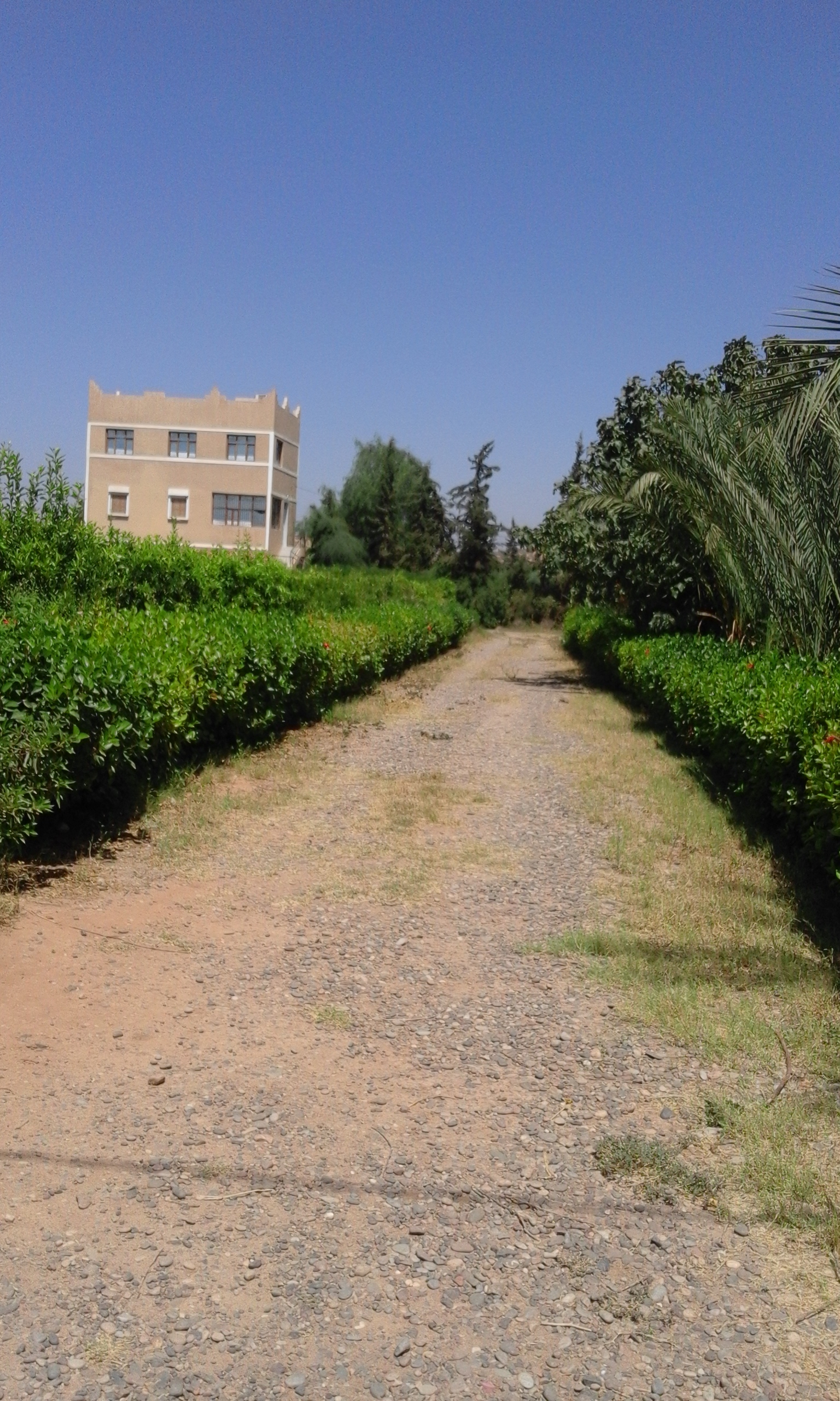 UNE FERME A VENDRE SURFACE 32500M2 TAROUDANT UNE FERME A VENDRE SURFACE 32500M2 TAROUDANT