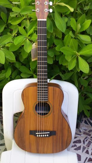 Une Guitare à vendre