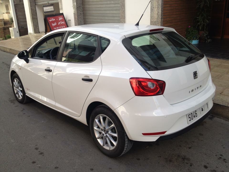 Seat Ibiza copa