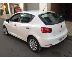 Seat Ibiza copa