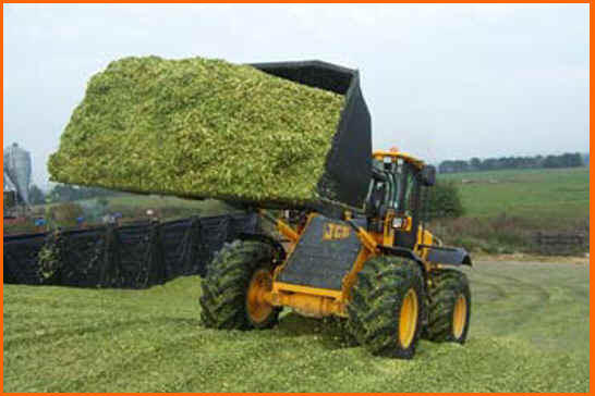 silage