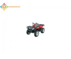 Vends quad polaris