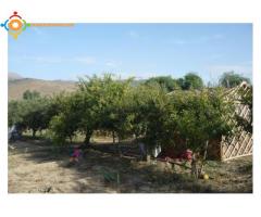 Terrain 1142 m2 à Al Hocïema