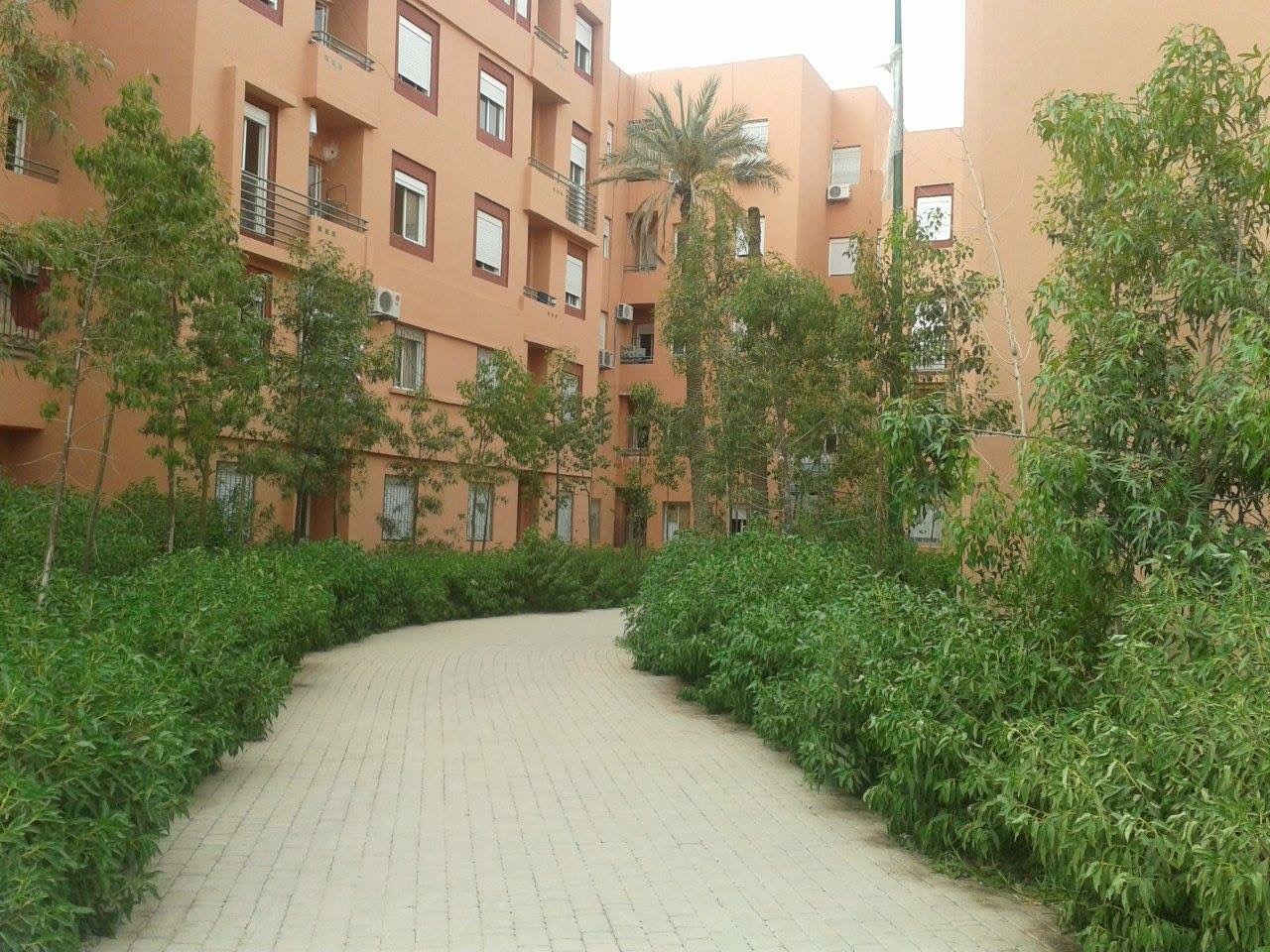 appartement rhan appartement rhan