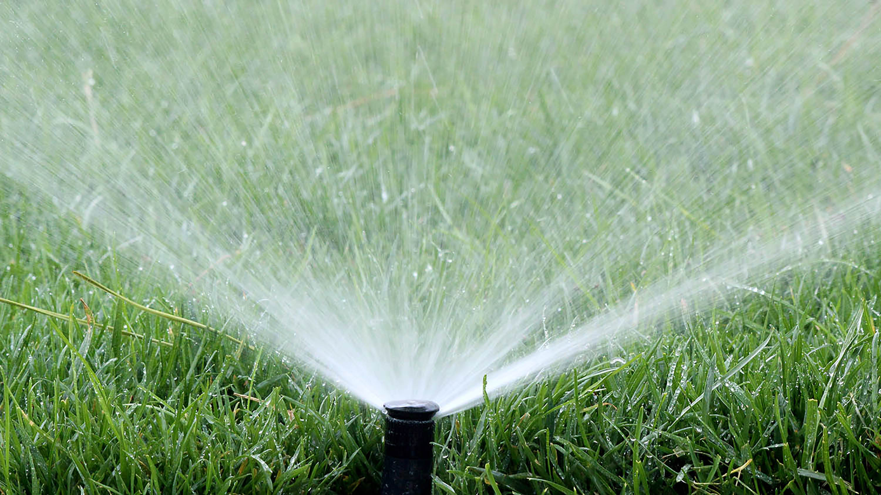 Arrosage de votre jardin