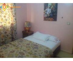 Appartement meublée climatise