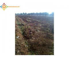 Terrain de 2300m² à vendre à Fés