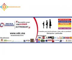 Formation  + stage + coaching d’emploi