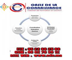 Formation accélérée en marketing