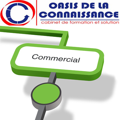 Formation en commercial 3 mois