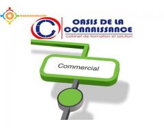 Formation en commercial 3 mois