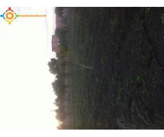 Vente terrain de 9200m2 titre a 15km de Tit mellil