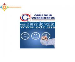 Formation pratique en Force de vente