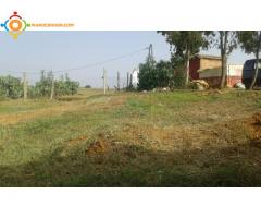 Vente d'une Ferme de 5500 m² à Tifelt