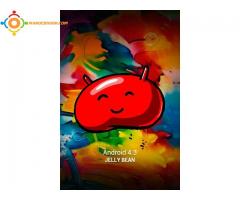 galaxy ace n9i