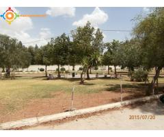 KHOURIBGA Titre Foncier 1238 m2 Prix 6190000 DHS