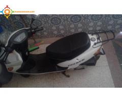 Scooter Docker Sahara