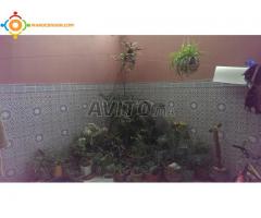 appartement 109 m2 à salé