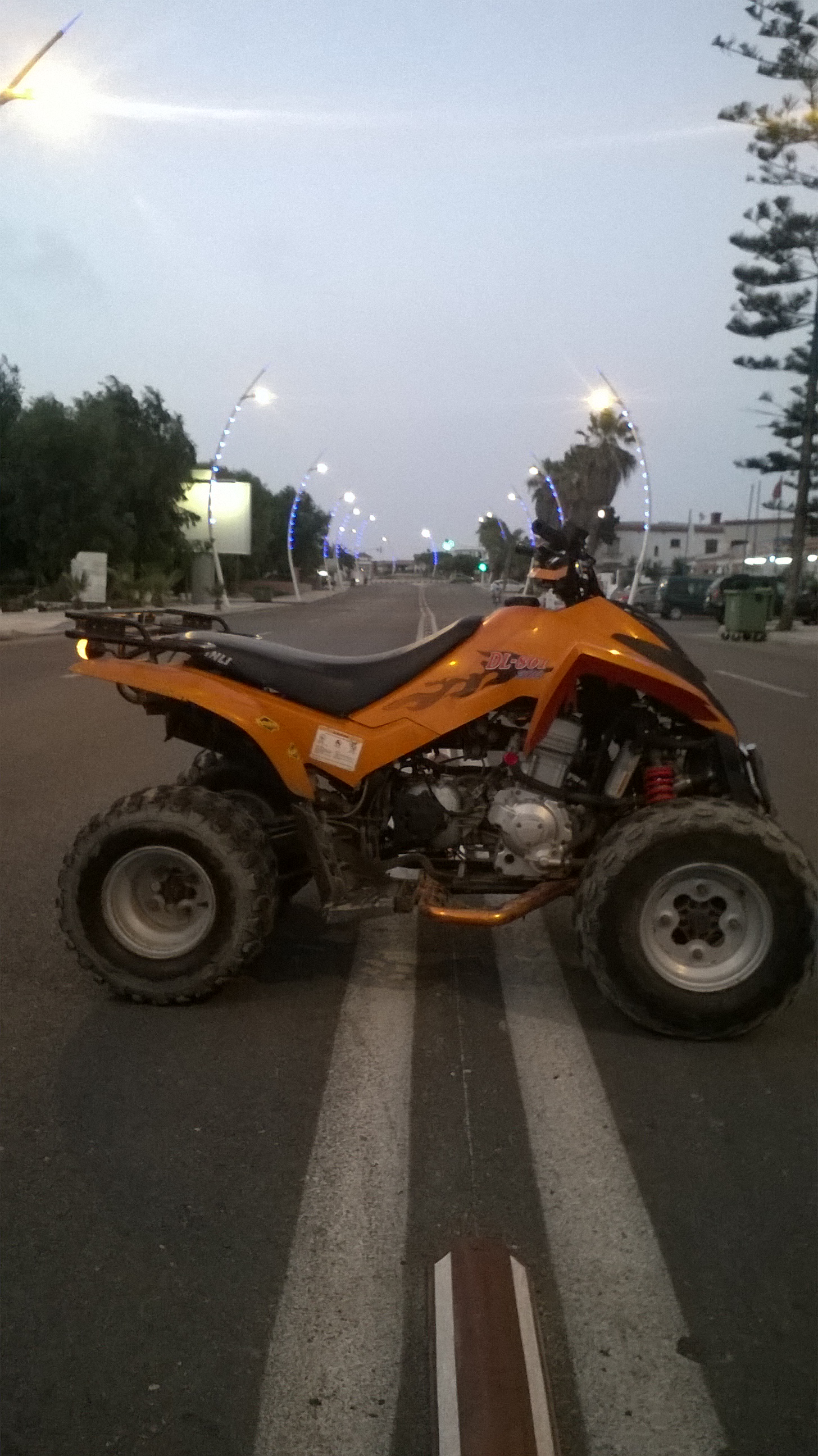 quad dinli FL801 270cc