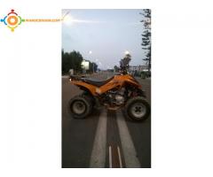 quad dinli FL801 270cc