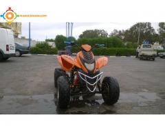 quad dinli FL801 270cc