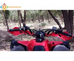 Quad Honda Trx model -2012