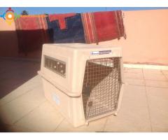 Cage transport pour chien