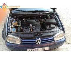 golf 4 zibra