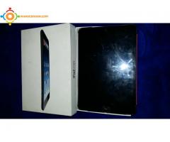 mini ipad 4