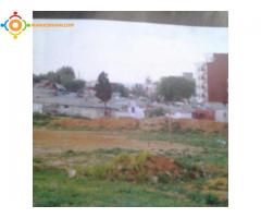 terrain de 80m a vendre a asilah