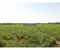 A VENDRE TERRAINS AGRICOLE 4.5 HA TITRES A AIN TAOUJDATE