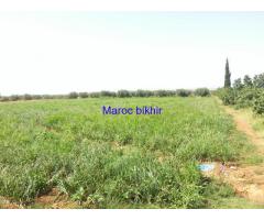 A VENDRE TERRAINS AGRICOLE 4.5 HA TITRES A AIN TAOUJDATE