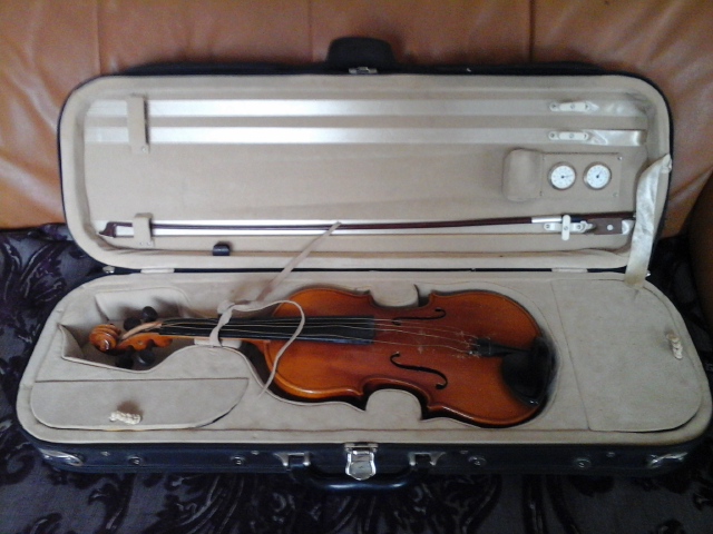 violon professionel marque LARK