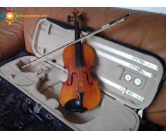 violon professionel marque LARK