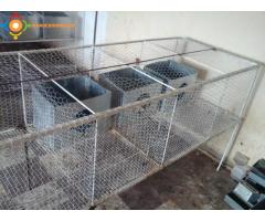 cages pour l'elevage de lapins