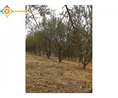 terrains et fermes  3inchkak