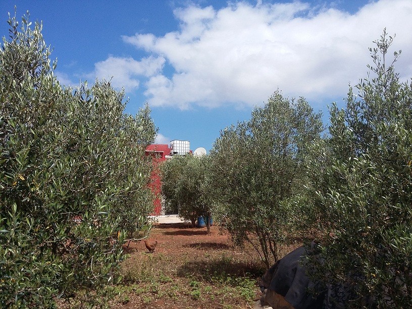 dream village mohammedia dream village mohammedia