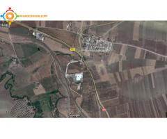 Terrains agricole 4 hectares AIN KERMA MEKNES