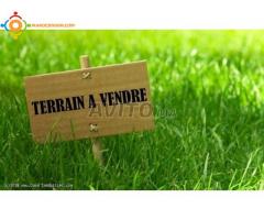 Terrain 100 m2 a Soualem