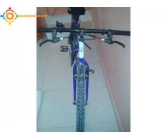 Vélos à Tanger