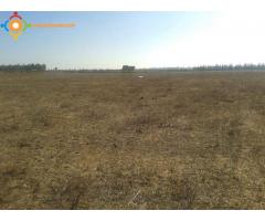 Terrain d'agriculture