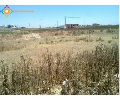 Terrain pour villa superficie 1117 m2 Meknes, riad Al Manzeh 190